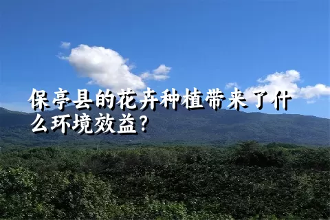 保亭县的花卉种植带来了什么环境效益？