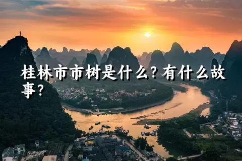 桂林市市树是什么？有什么故事？