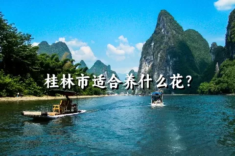 桂林市适合养什么花？