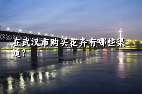 在武汉市购买花卉有哪些渠道？