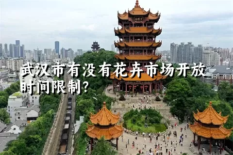 武汉市有没有花卉市场开放时间限制？