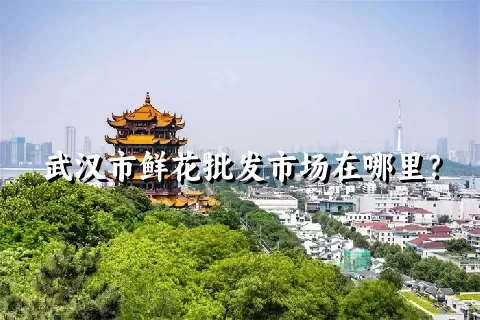 武汉市鲜花批发市场在哪里？