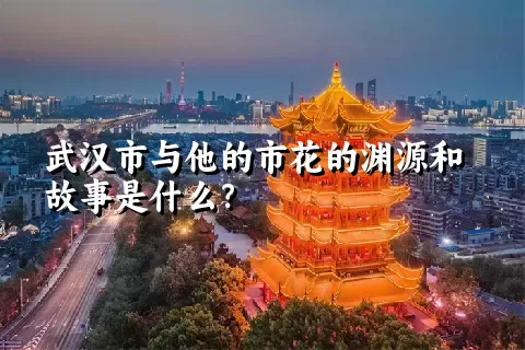 武汉市与他的市花的渊源和故事是什么？