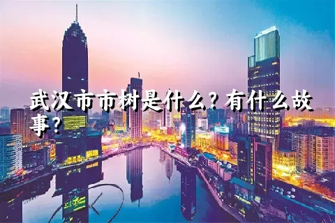 武汉市市树是什么？有什么故事？