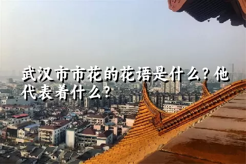 武汉市市花的花语是什么？他代表着什么？