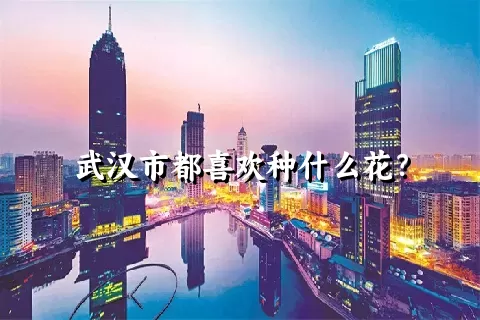 武汉市都喜欢种什么花？