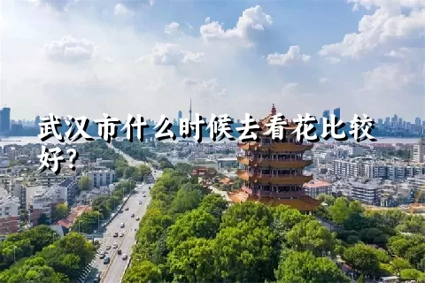 武汉市什么时候去看花比较好？