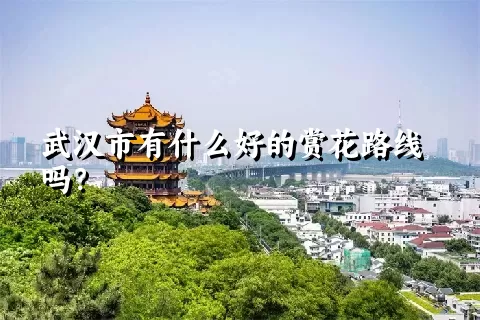 武汉市有什么好的赏花路线吗？