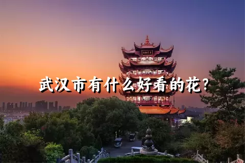 武汉市有什么好看的花？