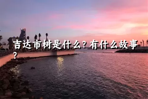 吉达市树是什么？有什么故事？