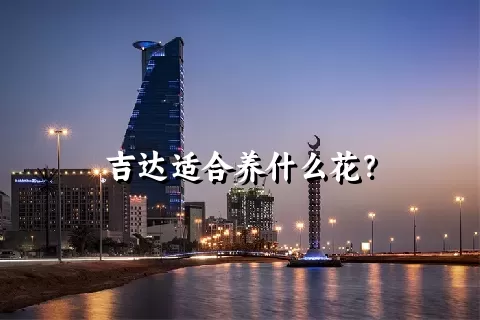 吉达适合养什么花？