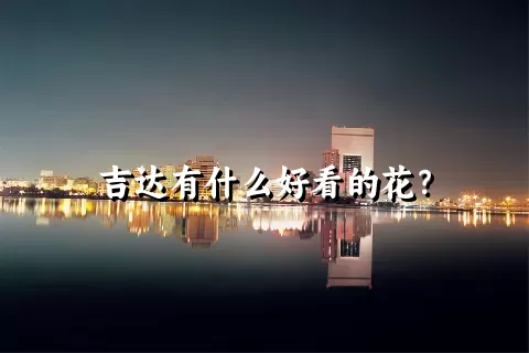 吉达有什么好看的花？