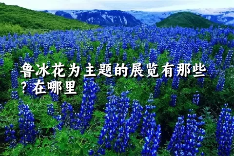 鲁冰花为主题的展览有那些？在哪里