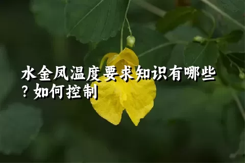 水金凤温度要求知识有哪些？如何控制