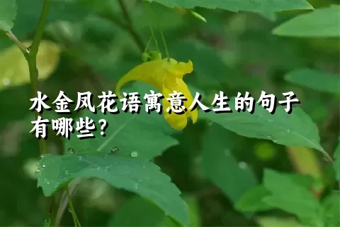 水金凤花语寓意人生的句子有哪些？