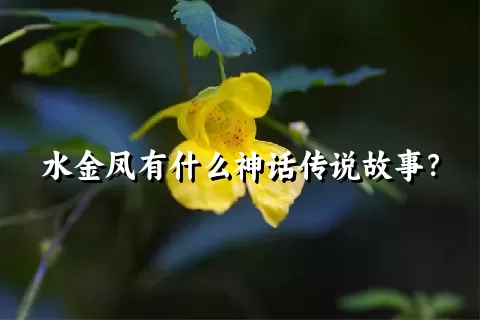 水金凤有什么神话传说故事？