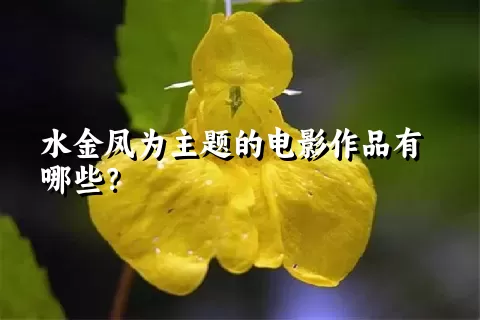 水金凤为主题的电影作品有哪些？