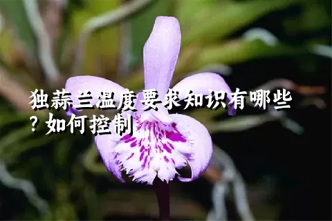 独蒜兰温度要求知识有哪些？如何控制