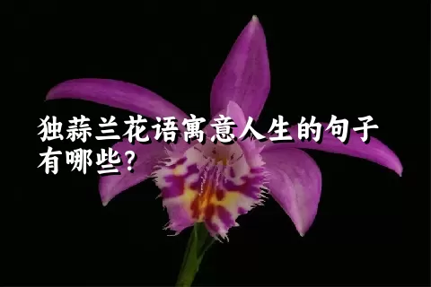 独蒜兰花语寓意人生的句子有哪些？