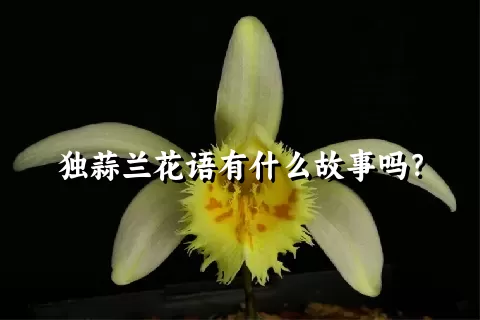 独蒜兰花语有什么故事吗？