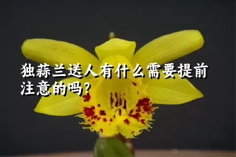 独蒜兰送人有什么需要提前注意的吗？