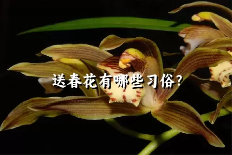 送春花有哪些习俗？