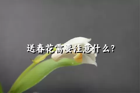 送春花需要注意什么？