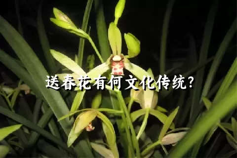 送春花有何文化传统？