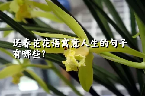 送春花花语寓意人生的句子有哪些？