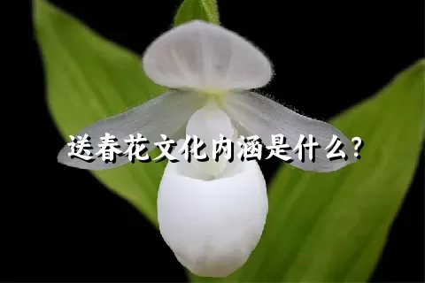 送春花文化内涵是什么？