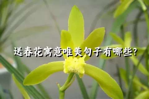 送春花寓意唯美句子有哪些？