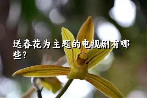 送春花为主题的电视剧有哪些？