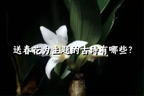 送春花为主题的古诗有哪些？