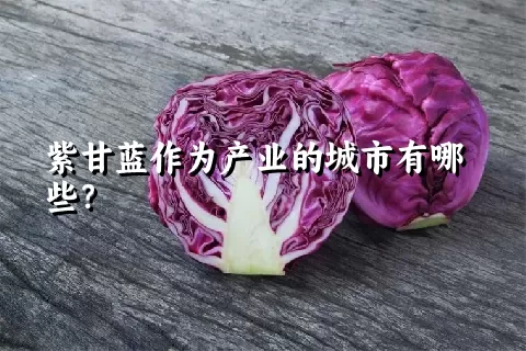 紫甘蓝作为产业的城市有哪些？