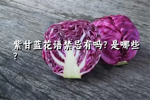 紫甘蓝花语禁忌有吗？是哪些？