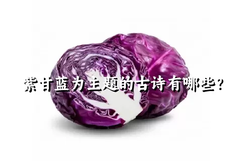 紫甘蓝为主题的古诗有哪些？