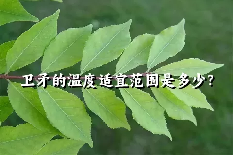 卫矛的温度适宜范围是多少？