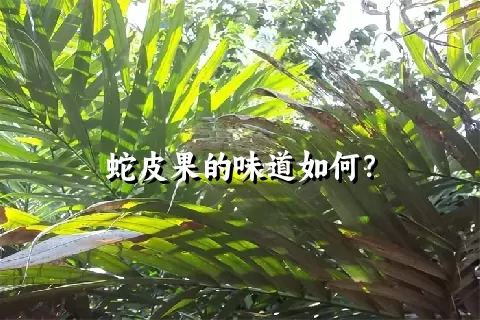 蛇皮果的味道如何？