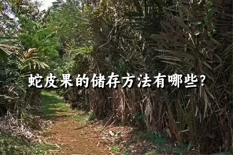 蛇皮果的储存方法有哪些？