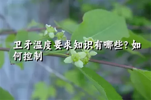 卫矛温度要求知识有哪些？如何控制