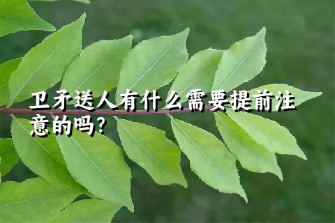 卫矛送人有什么需要提前注意的吗？