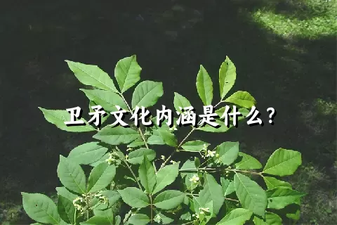 卫矛文化内涵是什么？