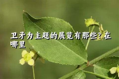 卫矛为主题的展览有那些？在哪里