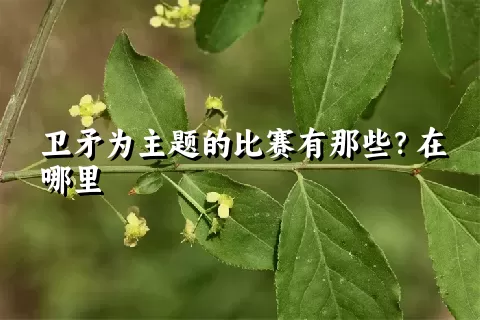 卫矛为主题的比赛有那些？在哪里