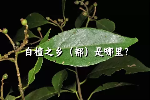 白檀之乡（都）是哪里？