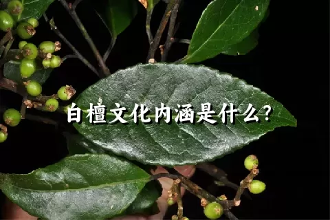 白檀文化内涵是什么？