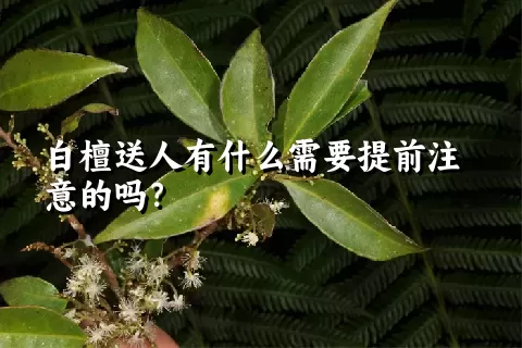 白檀送人有什么需要提前注意的吗？