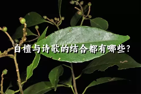 白檀与诗歌的结合都有哪些？