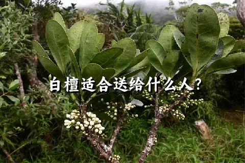 白檀适合送给什么人？