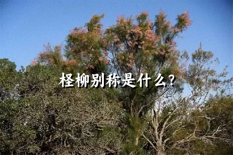 柽柳别称是什么？